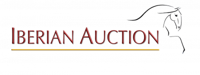 logo auction largo
